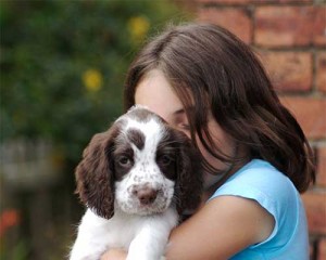 5 Things Your Dog Hates - Hugs From Strangers
