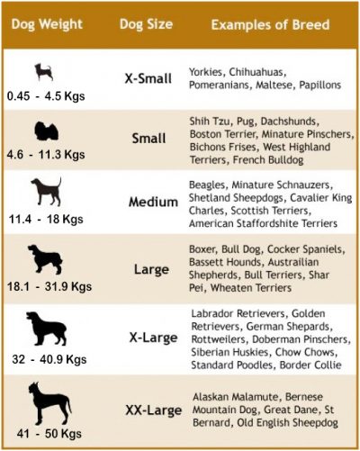 Dog weight chart