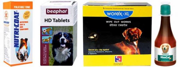 Pet Owner Must And Should Have Products - Health Supplements