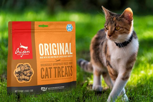 Orijen Original Cat treats