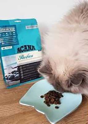 Acana Pacifica Cat food - Review