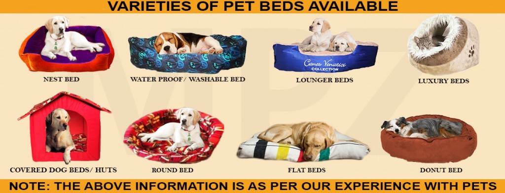 How To Choose A Perfect Bed For Your Pet?