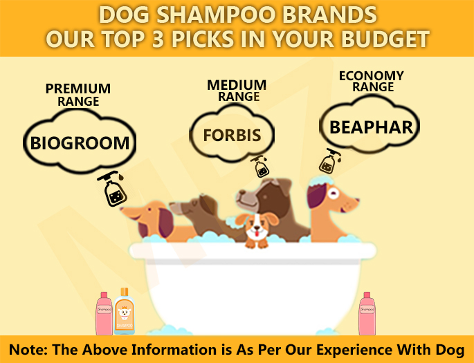 Dog Shampoo Brands : Our Top 3 Budget Picks
