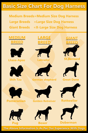 Basic size chart for dog harness