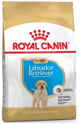 Royal Canin Labrador Retriever Junior Review