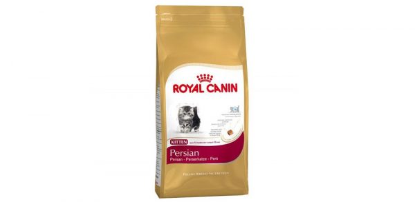 Royal Canin Persian kitten