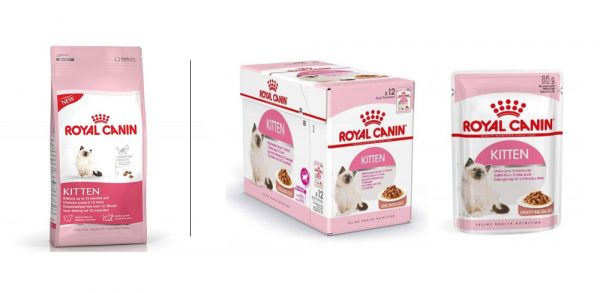 Royal canin kitten food