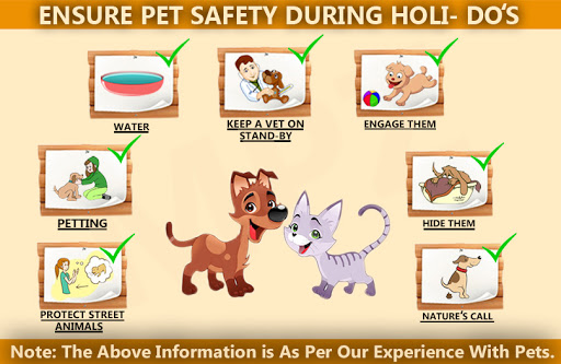 Ensure Pet Safety During Holi – Do’s And Don’ts