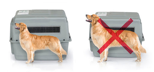 How To Choose The Right Size Of Dog Cage Or Crate? - MEASUREMENT TERMINOLOGY