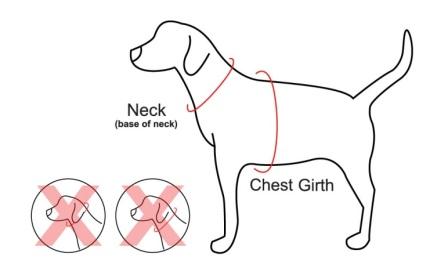 Actual measurement of dog harness