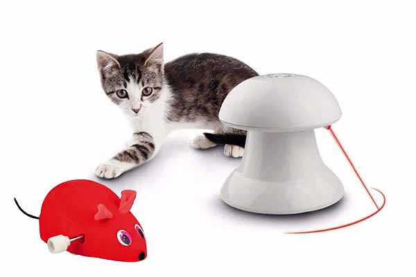 Cat Toys-How To Make Your Cat Happy