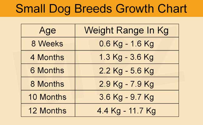 Puppy Growth Chart