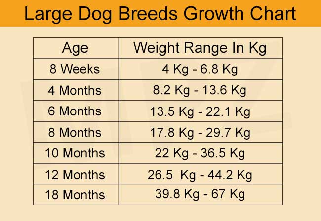 Puppy Growth Chart