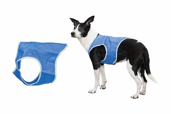 How to prevent your dog from heatstroke - Trixie Germany Cooling Vest