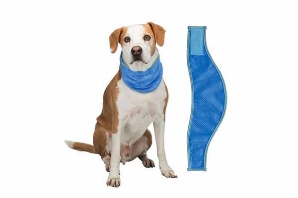 How to prevent your dog from heatstroke - Trixie Germany Cooling Bandana