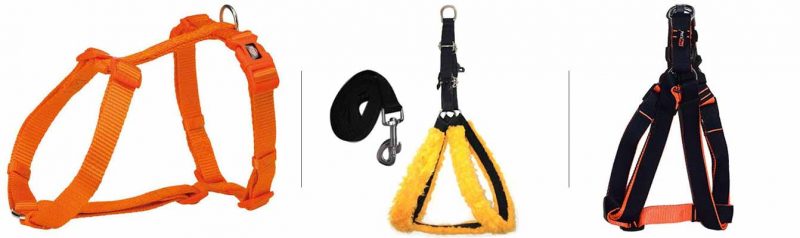 Pet Owner Must And Should Have Products - Harness and Collars