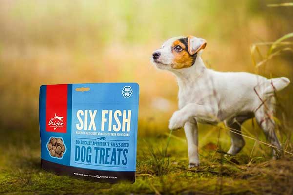 Orijen Six fish dog treats