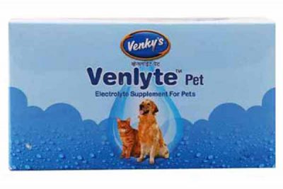 How to prevent your dog from heatstroke - Venkys Venlyte pet