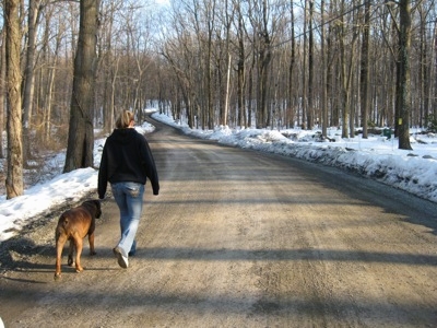 Leash Train Your Dog This Way - Walking