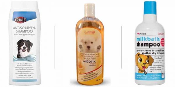 Pet Owner Must And Should Have Products - Dog Shampoos And Soaps