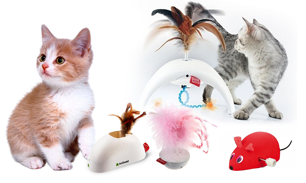 Cat Toys-How To Make Your Cat Happy - Interactive toys