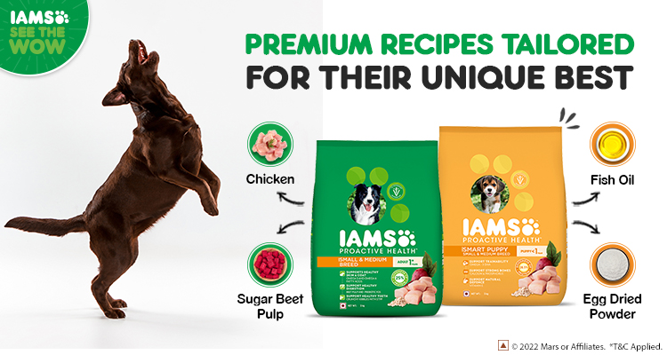 Why choose IAMS's tailored nutrition for your pets?
