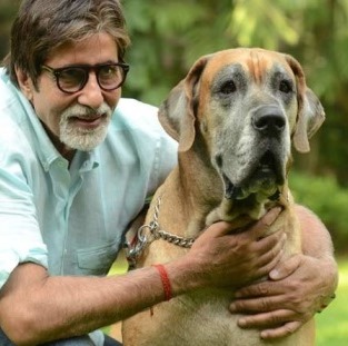 Bollywood Stars And Their Pets - Amitabh Bachchan